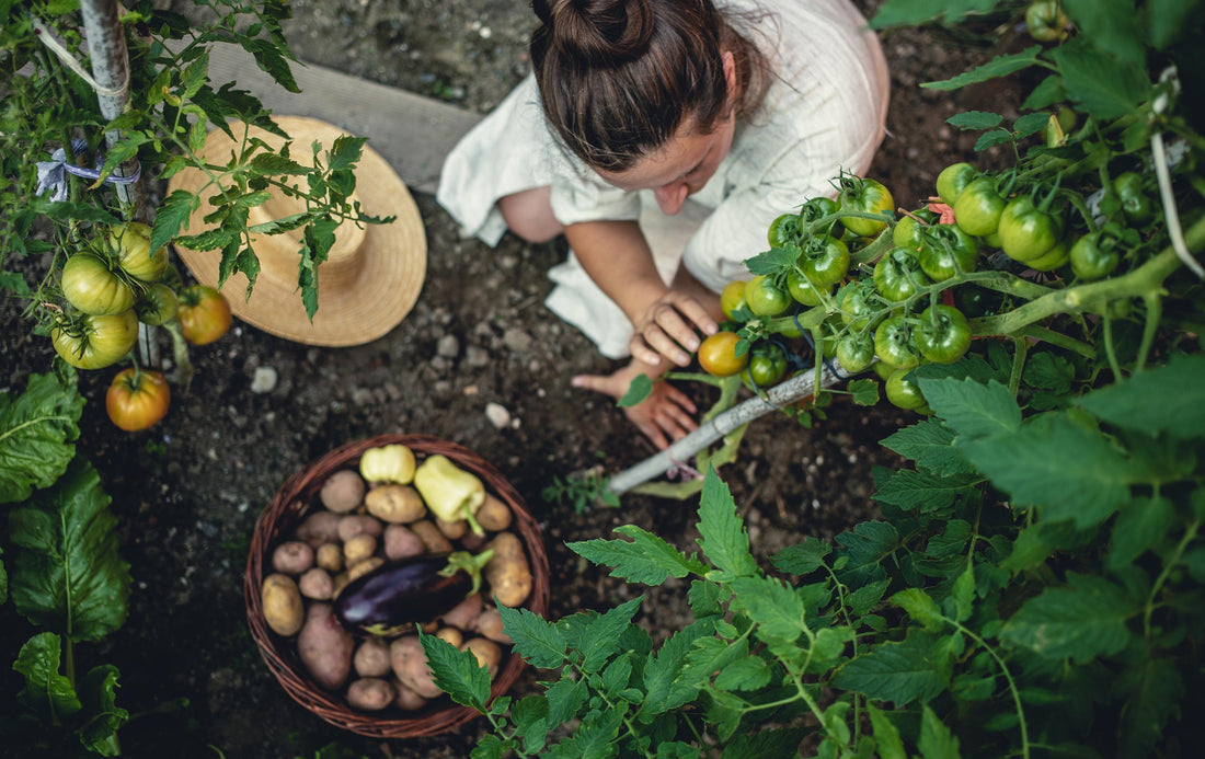 Healing Metabolism Naturally: Unlock the Secrets of Mother Nature's Superfoods