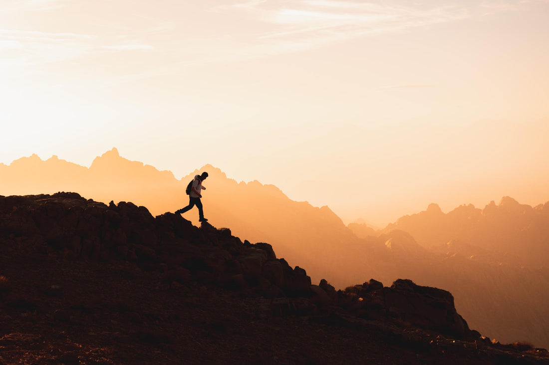The Science of Omega-3: Cholesterol Regulation and Inflammation Control